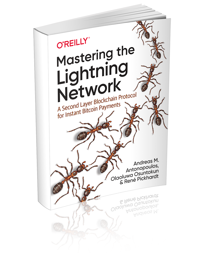 Mastering the Lightning Network