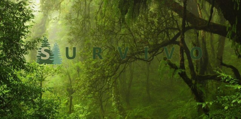 survival shop schweiz 768x381