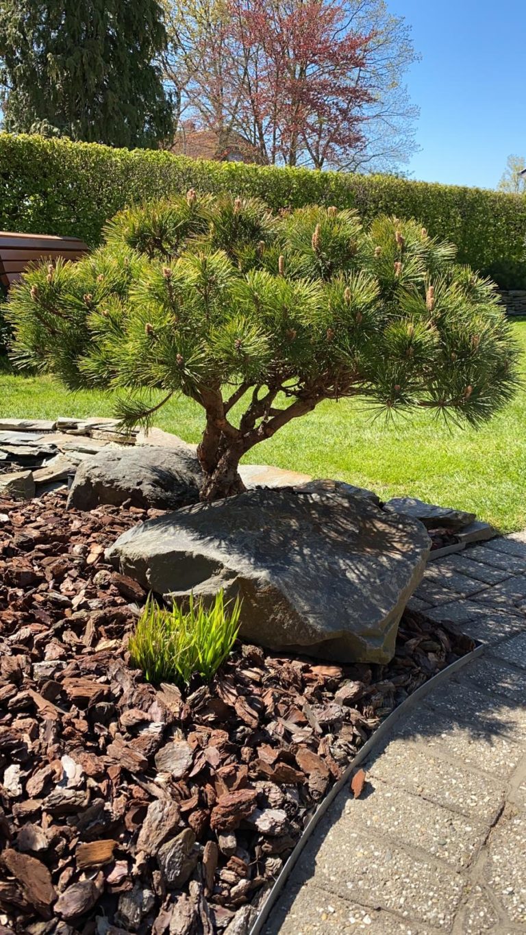 IMG 20210426 WA0001 768x1365