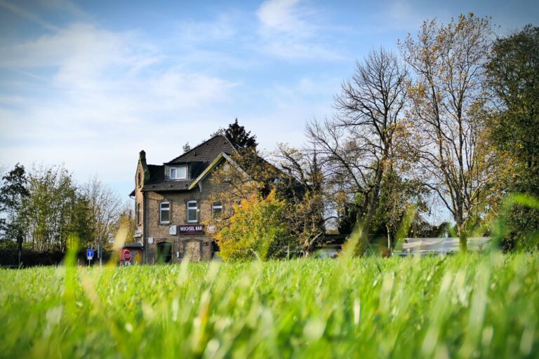 IMG 20201107 WA0016 768x512