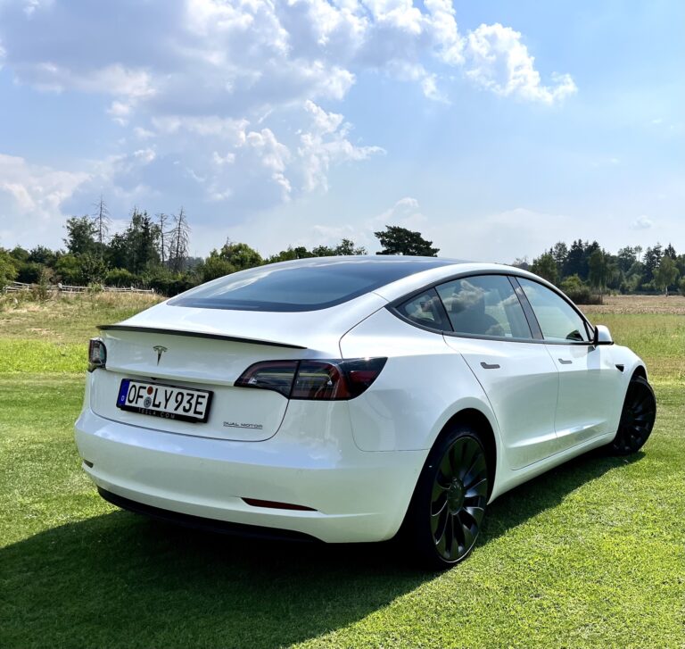 IMG 3474 Kopie 768x727