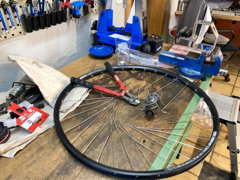 IMG 7990 Kopie 768x576