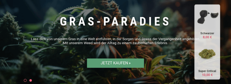 Bildschirmfoto vom 2024 02 03 11 57 43 1 768x279