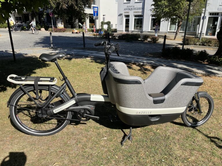 Gazelle Makki 768x576