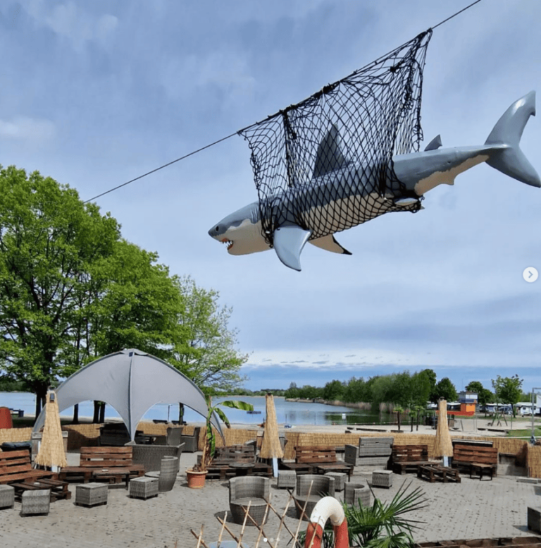 Screenshot 2024 06 08 at 08.36.13 768x777