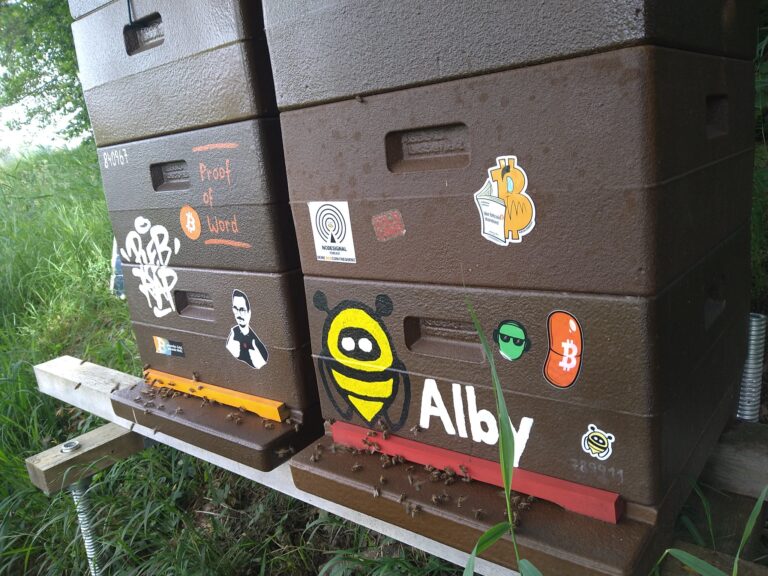 53805517816 ad9e1c85e0 k 768x576