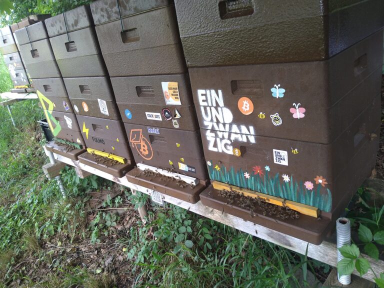 53805846819 acb191989c k 768x576